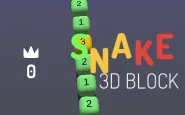 2048 Snake 3D Block