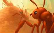 Ants IO