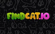 Findcat.io