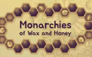 Monarchies.io