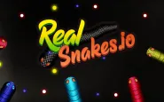 Real Snakes.io