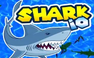 Shark IO