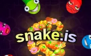 Snake IS