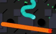 Snake Worm
