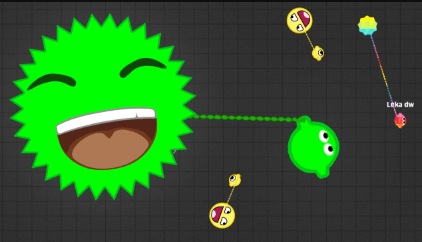 zlap-io